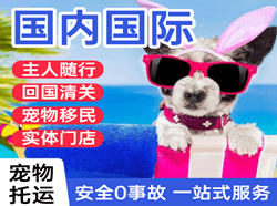 奔牛航空托运国际宠物托运 【国